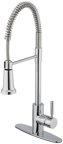 Estora 15-51121 Forza Single Handle Pull-Down Kitchen Faucet, Chrome